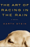 The Art of Racing In the Rain