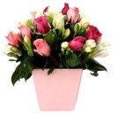 Mother's Day Flowers